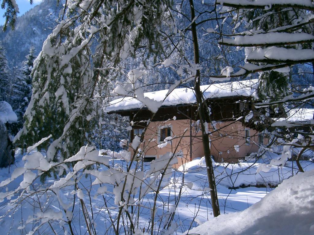 Ferienwohnung Waldhaeusl Sankt Martin bei Lofer Dış mekan fotoğraf